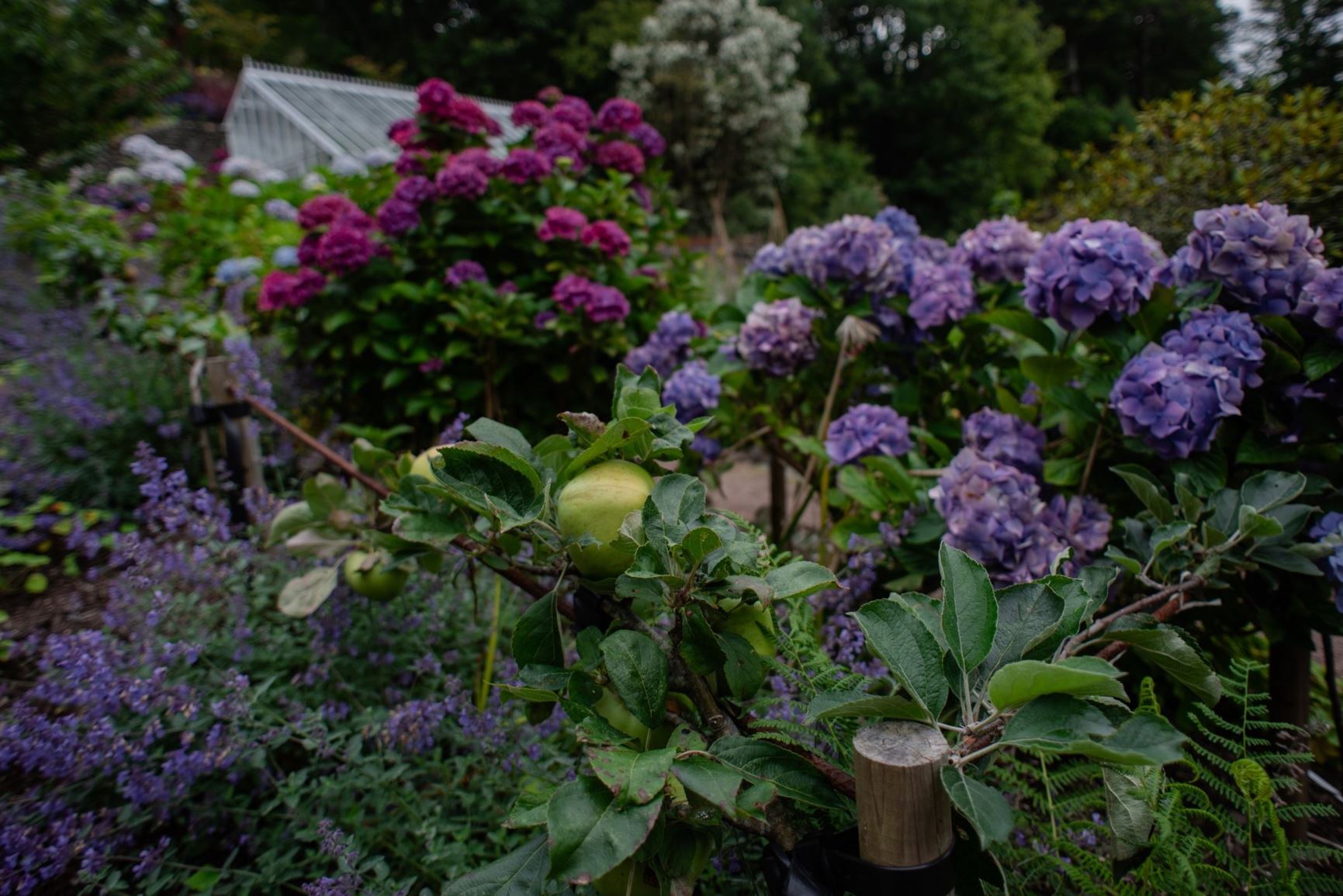 [Welcome image: Upload from IrisBG]