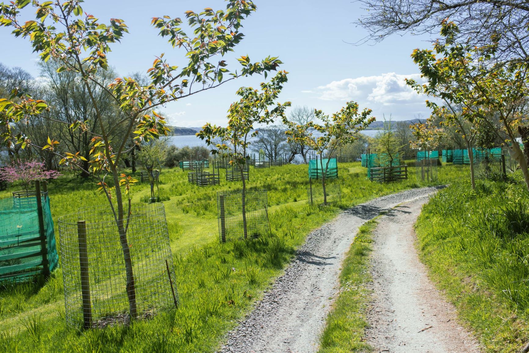 [Welcome image: Upload from IrisBG]