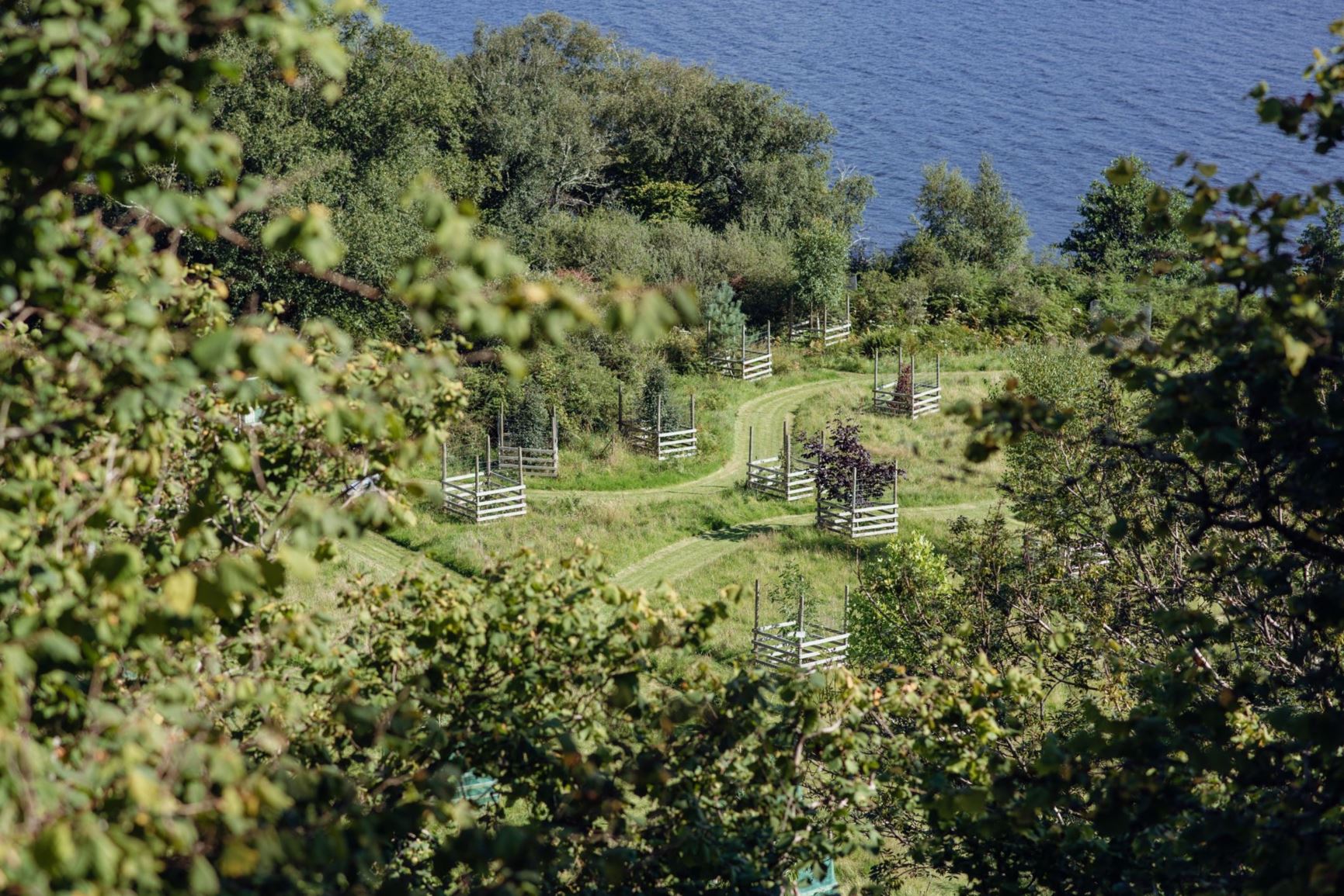 [Welcome image: Upload from IrisBG]